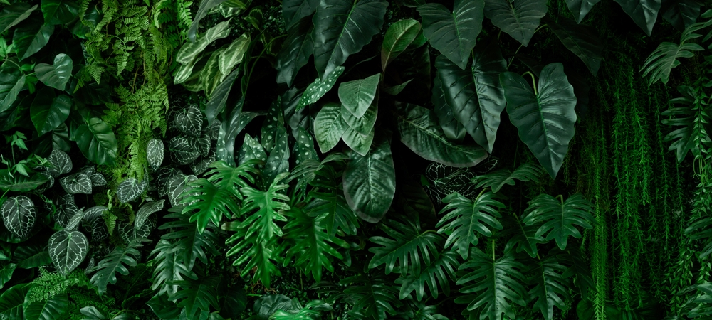 Giving Back Background